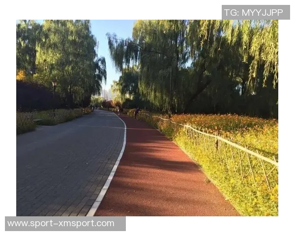 朝阳公园足球场预定指南及注意事项详解助您轻松安排活动